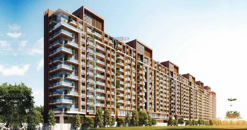 Adani Codename Greens-cover-06